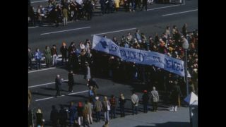 Link to Video