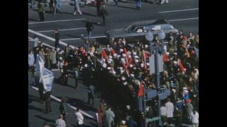 Link to Video