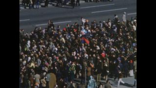 Link to Video