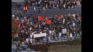 Link to Video