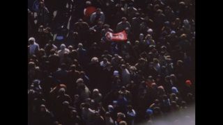 Link to Video
