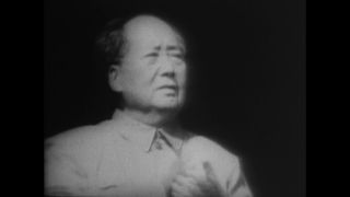 Link to Video | personality