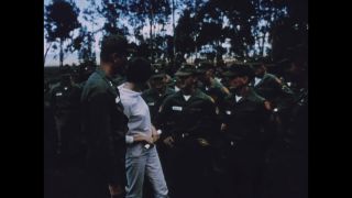 Link to Video