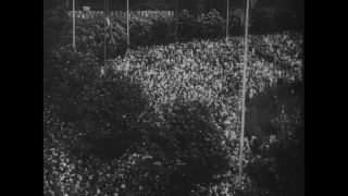 Link to Video | personality