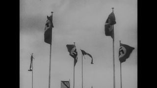 Link to Video | personality