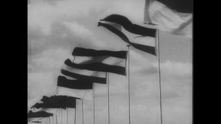 Link to Video | personality