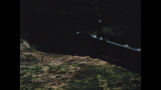 Link to Video