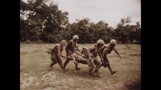 Link to Video