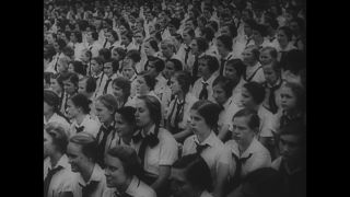 Link to Video | personality