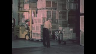 Link to Video