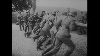 Link to Video | personality