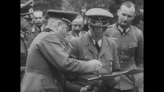 Link to Video | personality