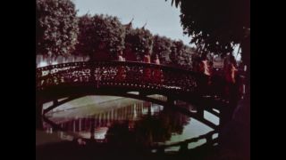 Link to Video