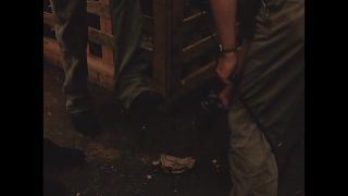 Link to Video