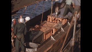 Link to Video