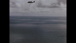 Link to Video