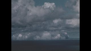 Link to Video