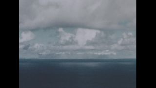 Link to Video