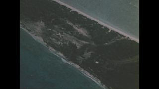 Link to Video