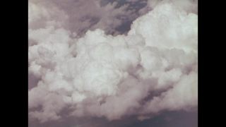 Link to Video
