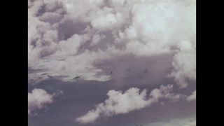 Link to Video