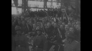 Link to Video | personality