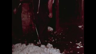 Link to Video
