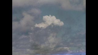 Link to Video