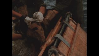 Link to Video
