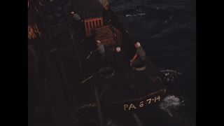 Link to Video