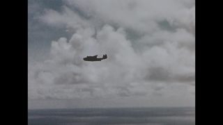 Link to Video