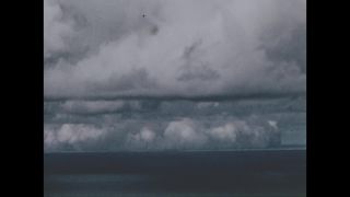 Link to Video