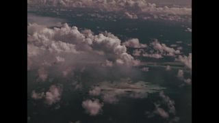 Link to Video