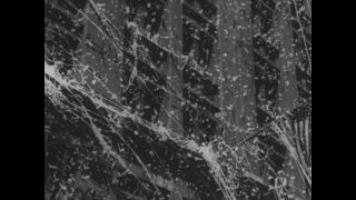 Link to Video | aviation pioneer, pioneer