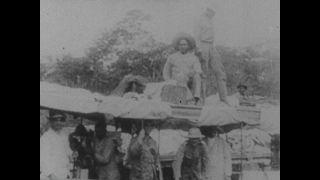 Link to Video | personality