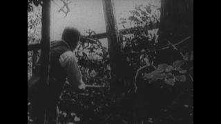 Link to Video | personality