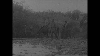 Link to Video | personality