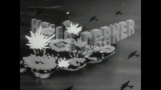 Link to Video
