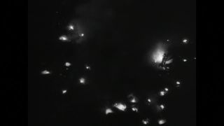 Link to Video
