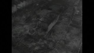 Link to Video