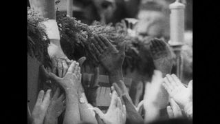 Link to Video | personality