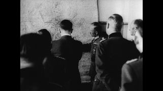 Link to Video | personality