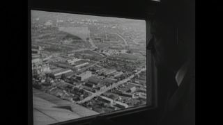 Link to Video | personality