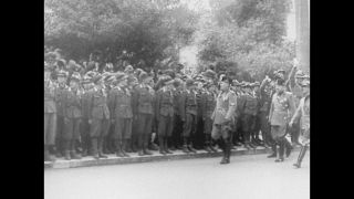 Link to Video | personality