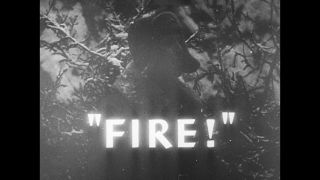 Link to Video | Eastern Front (World War II), black and white