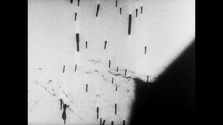 Link to Video | Eastern Front (World War II), black and white