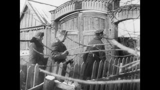 Link to Video | Eastern Front (World War II), black and white