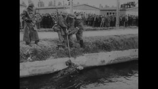 Link to Video | Auschwitz