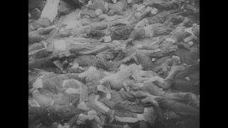 Link to Video | Auschwitz