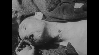 Link to Video | Auschwitz